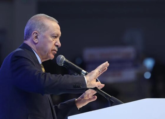 Başkan Erdoğan: Bu belanın kökünü kazıyacağız