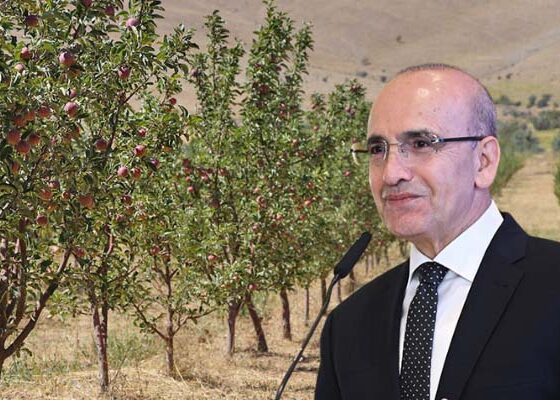Elma bahçesinde ‘vergi’ ağacı!