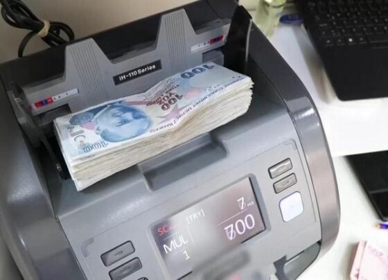 Şimşekten enflasyon beklentisi yorumu