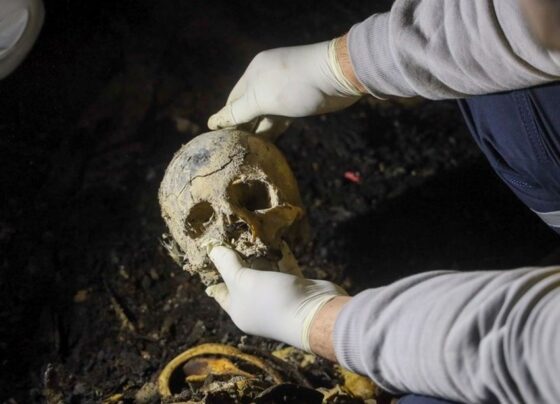 Suriye'de bir toplu mezar daha: "İskeletlerle dolu bodrumlar var" - Son Dakika Dünya Haberleri