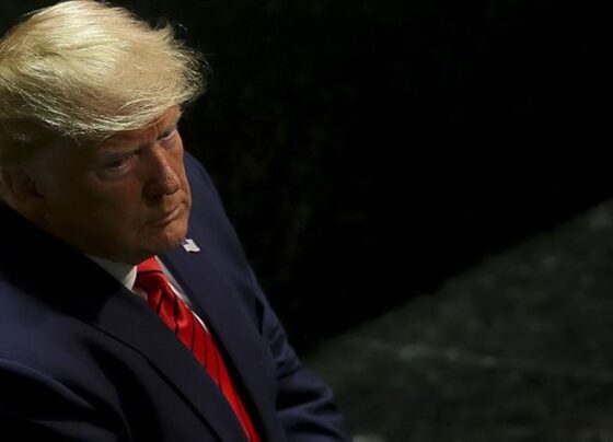 Trump'ın Ukrayna planı sızdırıldı: "Barış 100 günde sağlanacak" - Son Dakika Dünya Haberleri