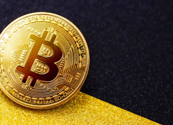 bitcoin en yüksek fiyatı
