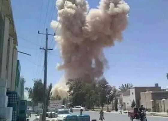 Afganistan'da canlı bomba saldırısı: 5 kişi öldü, 7 kişi yaralandı - Son Dakika Dünya Haberleri
