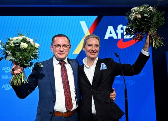Almanya'da erken genel seçim: Hristiyan Demokratlar birinci, aşırı sağcı AfD ikinci parti oldu - 1