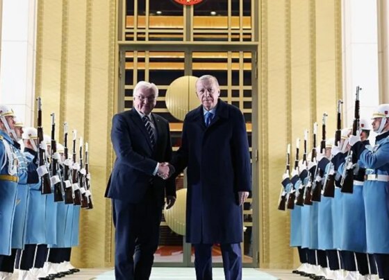 Başkan Erdoğan, Almanya Cumhurbaşkanı Steinmeier ile görüştü