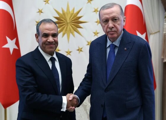 Başkan Erdoğan, Mısır Dışişleri Bakanı Abdulati'yi kabul etti