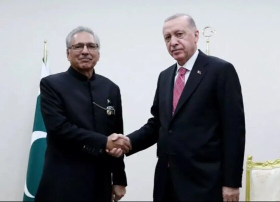 Başkan Erdoğan, Pakistan Cumhurbaşkanı Asıf Ali Zerdari ile görüştü