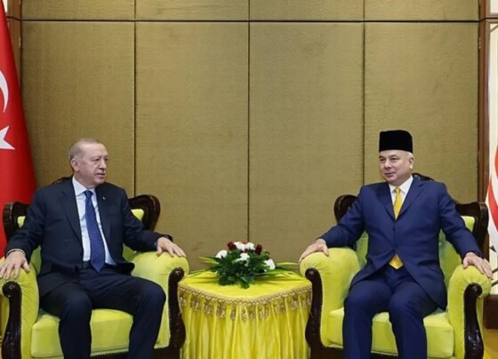 Başkan Erdoğan, Perak Sultanı Nazrin Şah ile görüştü