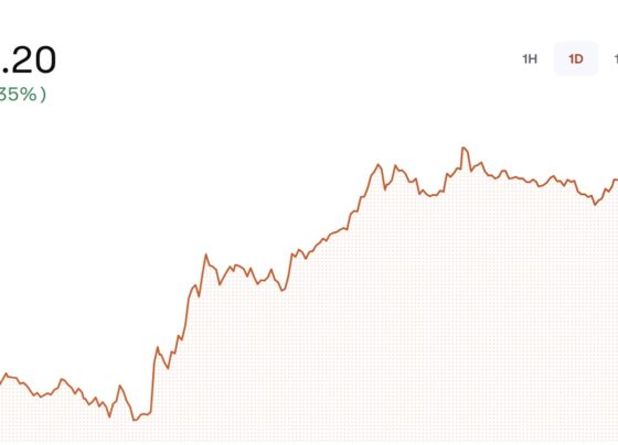 Bitcoin yeniden toparlandı: İşte değeri!
