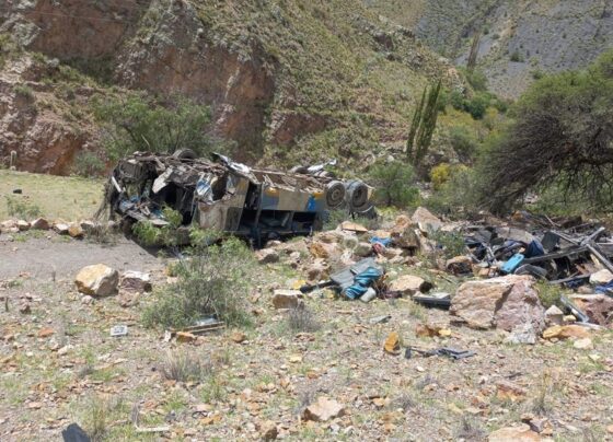 Bolivya'da otobüs uçuruma yuvarlandı: 31 ölü - Son Dakika Dünya Haberleri