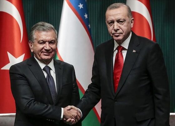 Cumhurbaşkanı Erdoğan, Özbek mevkidaşı Mirzoyev ile görüştü - Son Dakika Türkiye Haberleri