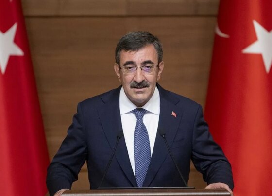 Cumhurbaşkanı Yardımcısı Yılmaz'dan Alev Alatlı'yı anma mesajı!