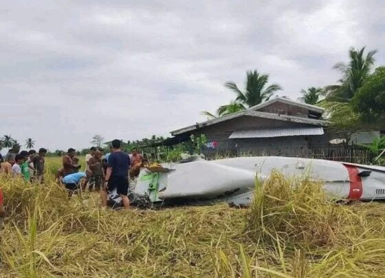 Filipinler’de küçük uçak düştü: 4 kişi öldü - Son Dakika Dünya Haberleri