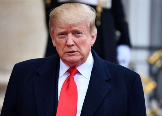 Kanada'dan Trump'a eyalet yanıtı: Havaya Kanada bayrağı çizdiler - Son Dakika Dünya Haberleri