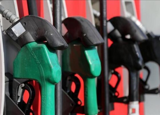 LPG ithalatı geçen yıl aralıkta yıllık bazda yüzde 29,9 azaldı