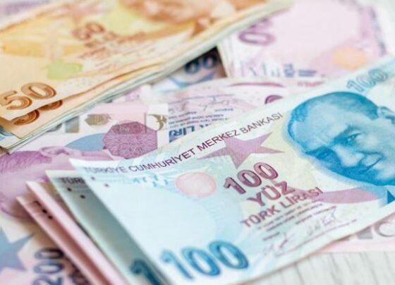 Merkez Bankası ocak ayı Reel Efektif Döviz Kuru Endeksi verilerini açıkladı
