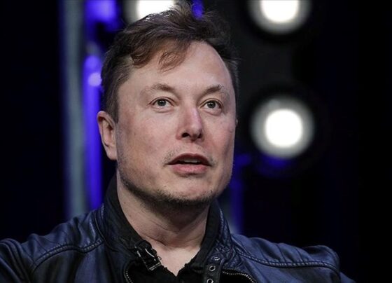 Musk'tan aşırı sağcı parti AfD'ye destek: Almanya Başbakanı'ndan sert tepki - Son Dakika Dünya Haberleri
