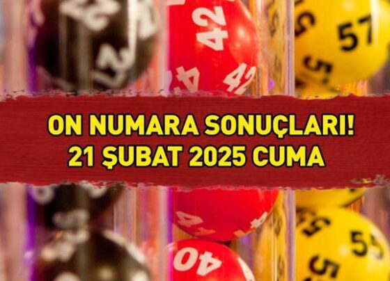 ON NUMARA SONUÇLARI 21 ŞUBAT 2025: On Numara sonuçları açıklandı mı, saat kaçta belli olur Milli Piyango Online sonuç sorgulama ekranı