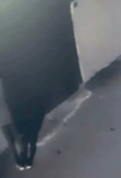 Pendik’te Türk bayrağını yakmıştı: Şüpheliye 3 yıl hapis talebi