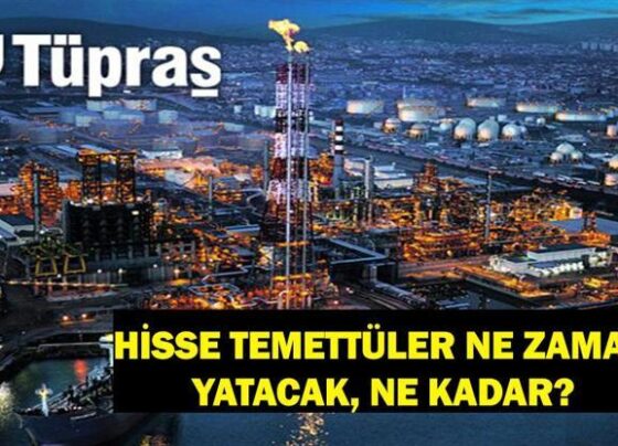 TÜPRAŞ HİSSE TEMETTÜ 2025 | Tüpraş temettü ödemeleri ne zaman yapılacak, ne kadar yatacak TUPRS Tüpraş temettü ödemesi hisse başı ne kadar verilecek