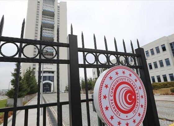 Ticaret Bakanlığı, e-Kolay İhracat Platformunu yarın tanıtacak