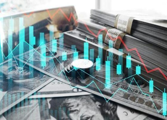 Türkiye 2024’te 11,3 milyar dolar yatırım çekti