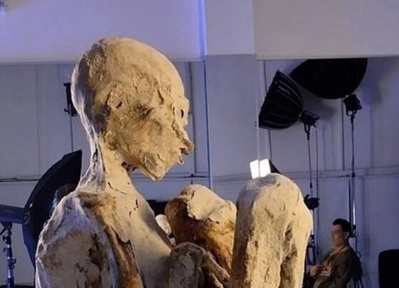 Uzaylı mumya tartışmasınde yeni iddia:"Bazıları hamile" - Son Dakika Dünya Haberleri
