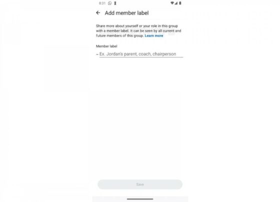 WhatsApp grup sohbetlerinde rolünüzü belirleyebileceksiniz