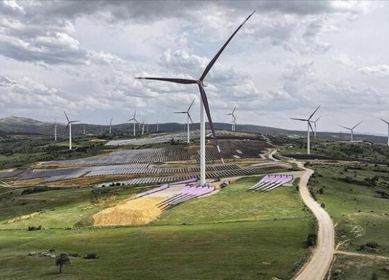 Yenilenebilir enerjiye 2 milyar dolarlık yatırım