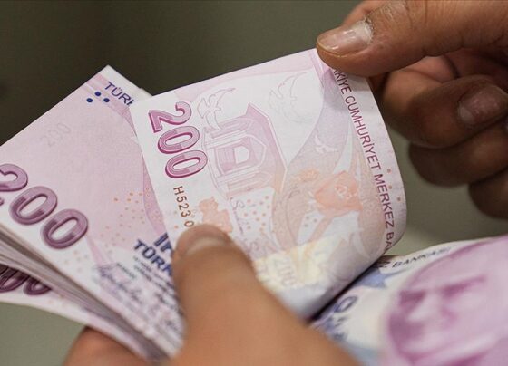 Enflasyon hedefindeki %4 artış maaşları etkiler mi