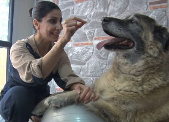 55 kilo obez Duman spor ve pilates ile zayıflatılıyor: Kalp problemi ve yürüme güçlüğü yaşıyor - Son Dakika Yaşam Haberleri