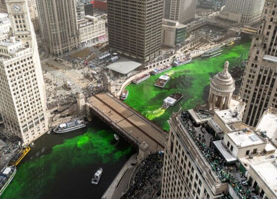 ABD'de Aziz Patrick Günü kutlamaları: Chicago nehri yeşile boyandı