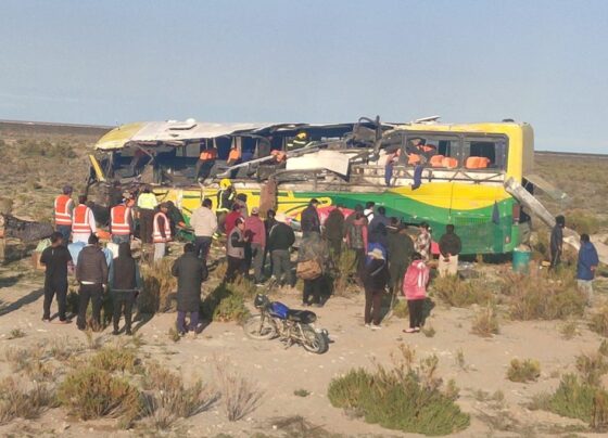 Bolivya'da otobüs kazası: 37 ölü, 39 yaralı