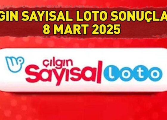 ÇILGIN SAYISAL LOTO SONUÇLARI AÇIKLANDI 8 MART 2025: Çılgın Sayısal Loto sonuçları nasıl öğrenilir Sonuç sorgulama ekranı