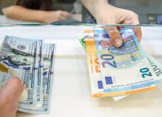 Euro, Almanya’daki kritik oylama öncesinde 5 ayın zirvesinde