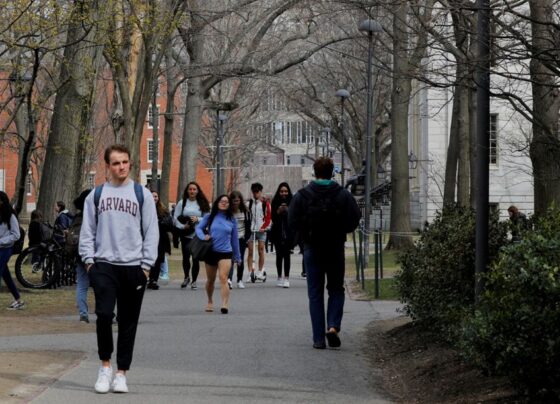 Harvard Üniversitesi'nden büyük burs: Yıllık geliri 200 bin dolar altı ailelerden ücret alınmayacak - Son Dakika Dünya Haberleri