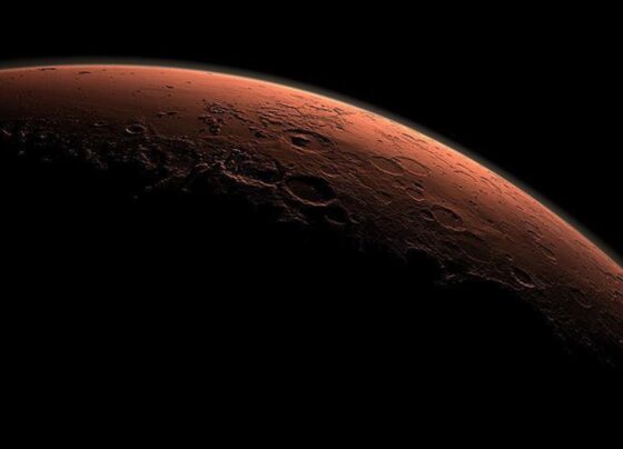 Rusya, Mars'a yolculuk için Elon Musk'la görüşmek istiyor - Son Dakika Dünya Haberleri