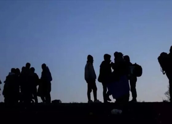 29 Göçmen Kaçakçılığı Organizatörü yakalandı