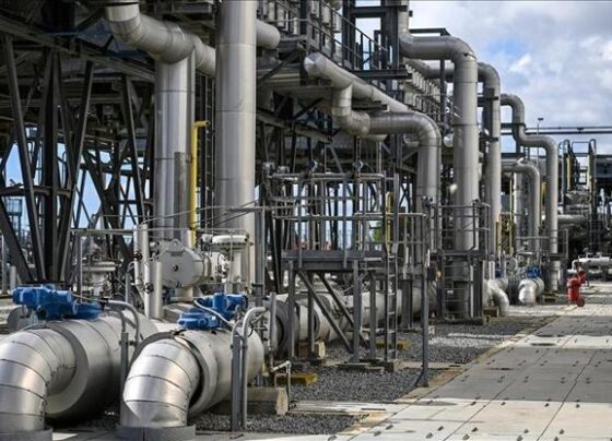 APden doğal gaz depolama kurallarında esneklik