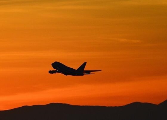 Avustralya'da uçak düştü: Pilot hayatını kaybetti - Son Dakika Dünya Haberleri
