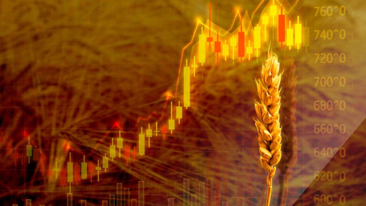 Bakan Yumaklı duyurdu: Çiftçiye 50 milyon euroluk destek haberi
