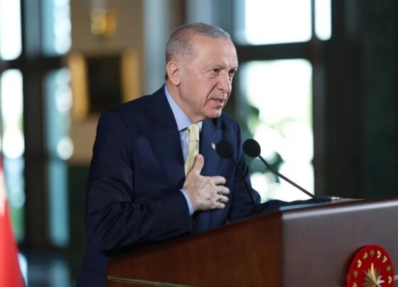 Başkan Erdoğan: Bir avuç zorbanın taşkınlıklarına eyvallah etmeyiz