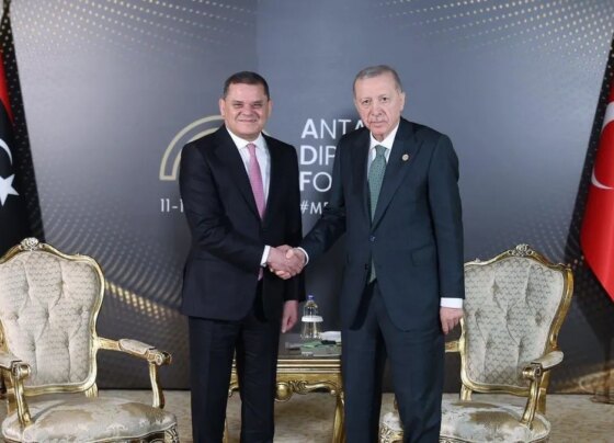 Başkan Erdoğan, Libya Başbakanı Abdulhamid Dibeybe ile görüştü