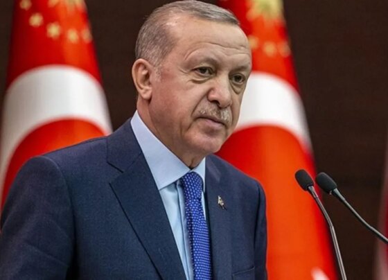 Başkan Erdoğan'ın Özel'e açtığı tazminat davasının detayları ortaya çıktı