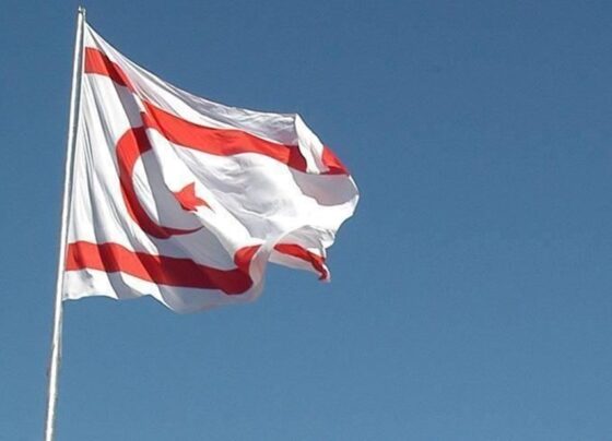 KKTC'de cumhurbaşkanlığı seçimi: UBP'den Ersin Tatar'a destek - Son Dakika Dünya Haberleri