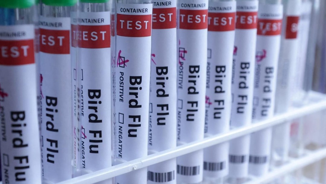 Meksika’da H5N1 kaynaklı ilk ölüm – Son Dakika Dünya Haberleri