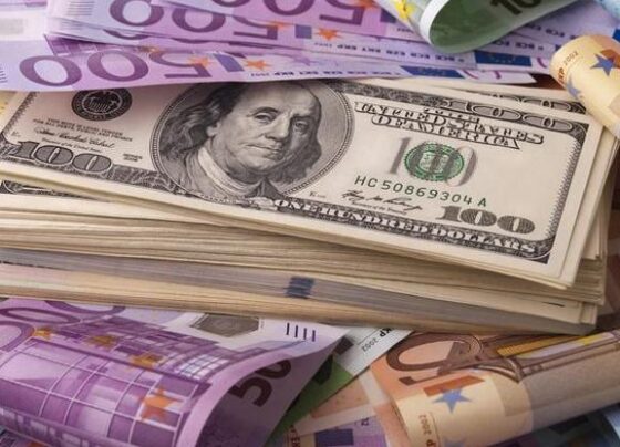 Merkez Bankasının faiz kararı sonrası dolar ve euroda son durum (17 Nisan 2025)