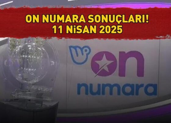SON DAKİKA ON NUMARA SONUÇLARI AÇIKLANDI 11 NİSAN 2025: Milli Piyango Online ile On Numara sonuçları nasıl öğrenilir Sonuç sorgulama ekranı