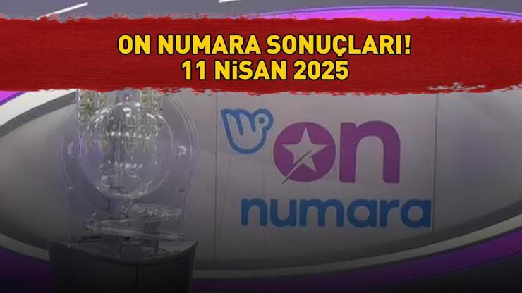 Milli Piyango Online ile On Numara sonuçları nasıl öğrenilir? Sonuç sorgulama ekranı!