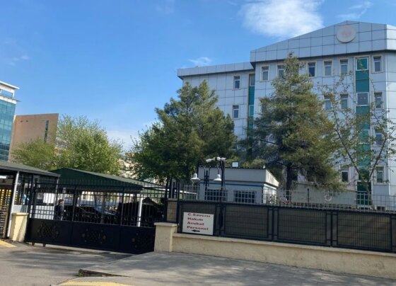 Narin cinayeti soruşturmasında ikinci dava başladı